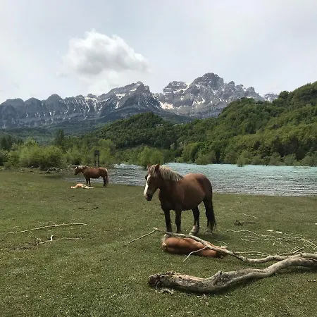 Apartman Vista Telera *